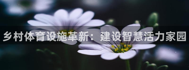 凯捷体育招商电话地址查询：乡村体育设施革新：建设智慧