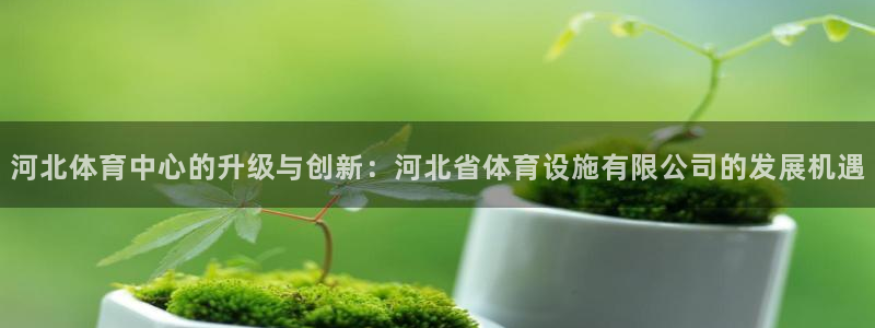 凯捷体育招商电话号码查询是多少：河北体育中心的升级与