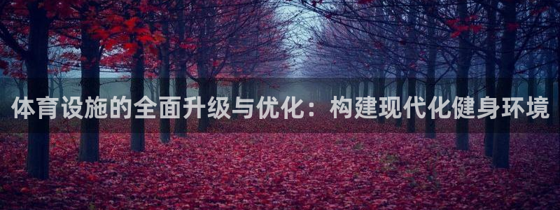 凯捷体育集团E.ON：体育设施的全面升级与优化：构建