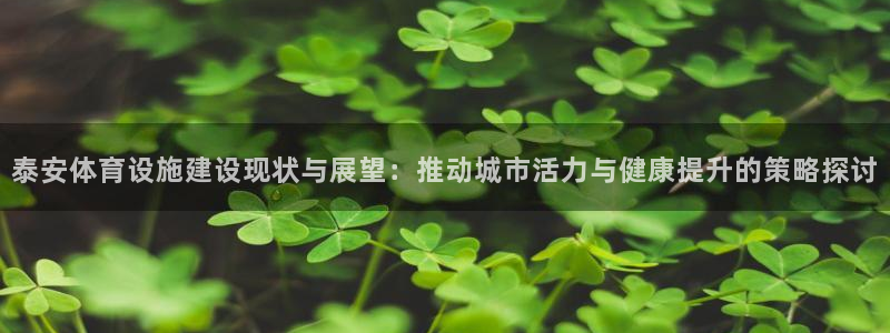 凯捷体育五金厂：泰安体育设施建设现状与展望：推动城市