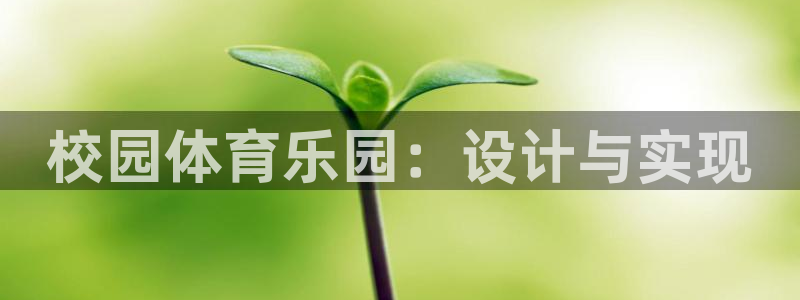 凯捷体育集团：校园体育乐园：设计与实现