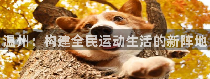 凯捷体育集团官网网址：温州：构建全民运动生活的新阵地