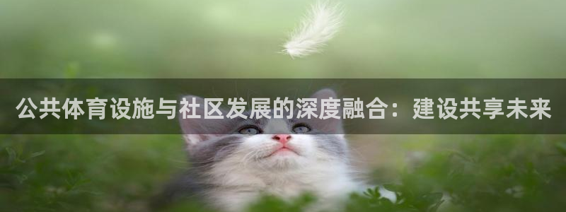 凯捷体育五金厂：公共体育设施与社区发展的深度融合：建