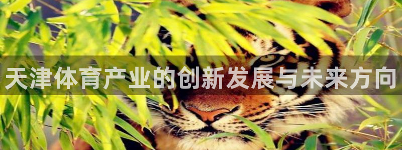 凯捷体育招商电话号码是多少：天津体育产业的创新发展与