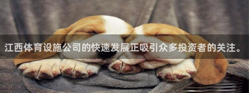 凯捷体育平台注册：江西体育设施公司的快速发展正吸引众