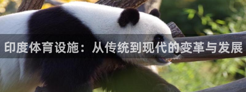 凯捷体育平台APP：印度体育设施：从传统到现代的变革