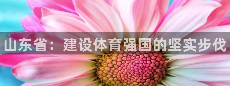 凯捷体育娱乐40996：山东省：建设体育强国的坚实步