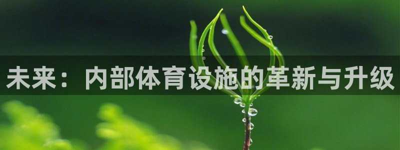 凯捷体育集团官网首页网址：未来：内部体育设施的革新与