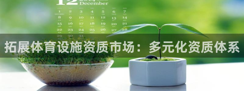 凯捷体育注册：拓展体育设施资质市场：多元化资质体系