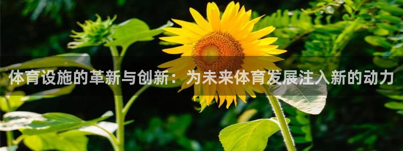 凯捷体育招商电话号码是多少啊：体育设施的革新与创新：