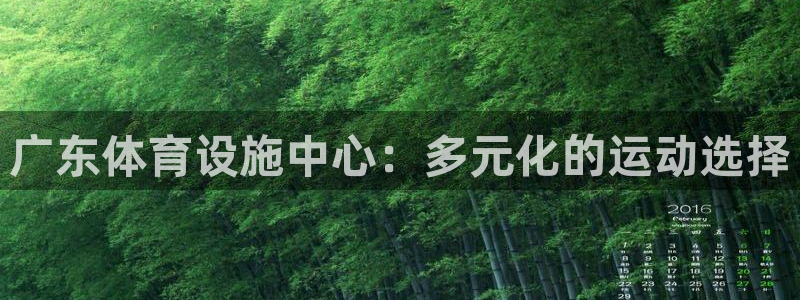 凯捷体育神州：广东体育设施中心：多元化的运动选择
