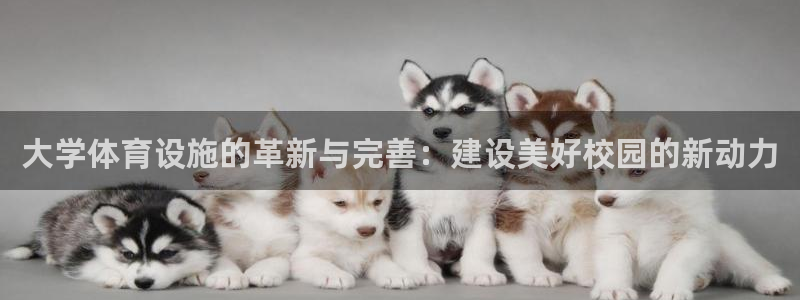 海南凯捷体育发展怎么样：大学体育设施的革新与完善：建设美好校