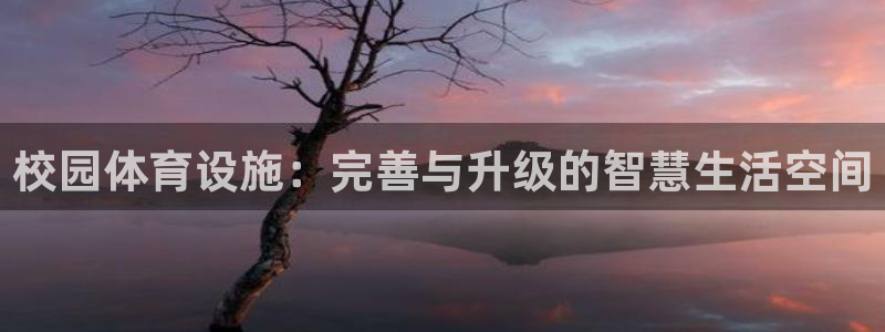 凯捷体育集团官网首页：校园体育设施：完善与升级的智慧