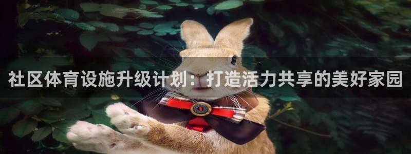 凯捷体育软件：社区体育设施升级计划：打造活力共享的美