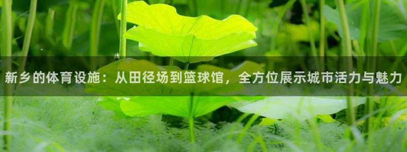 凯捷体育注册：新乡的体育设施：从田径场到篮球馆，全方