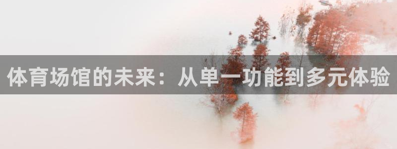 凯捷体育娱乐是那个系列的台子：体育场馆的未来：从单一