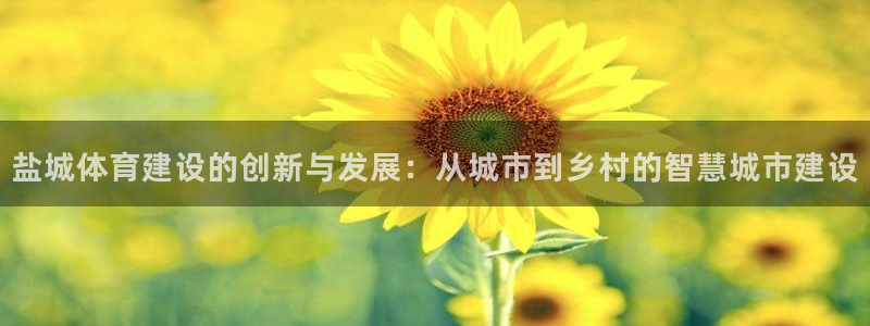 凯捷体育娱乐首页官网下载：盐城体育建设的创新与发展：从城市到
