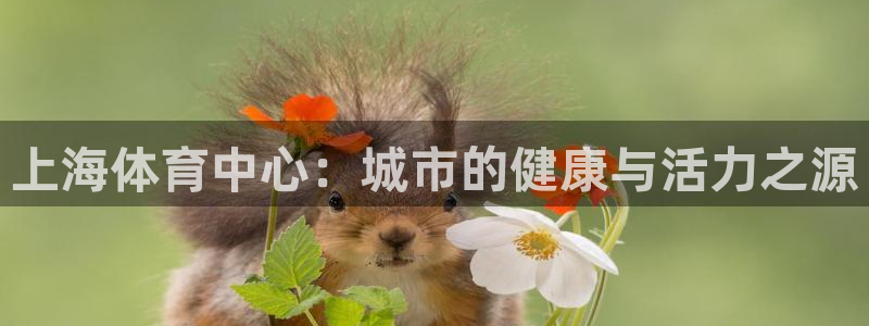 凯捷体育：上海体育中心：城市的健康与活力之源