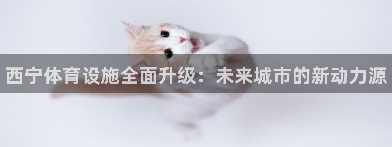 凯捷体育代理：西宁体育设施全面升级：未来城市的新动力