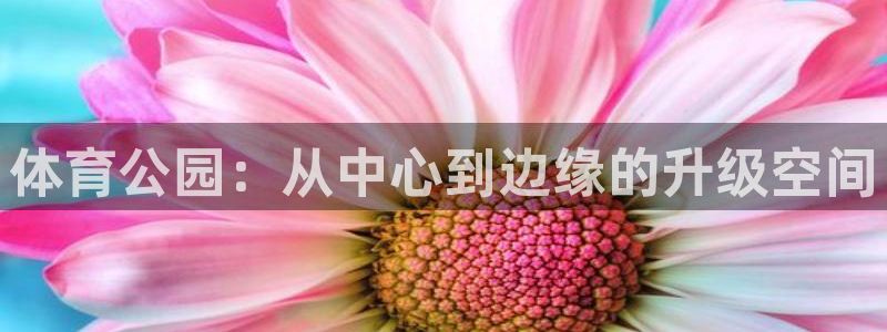 凯捷体育集团官网首页：体育公园：从中心到边缘的升级空