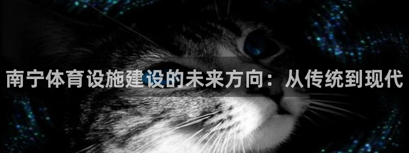 凯捷体育代理：南宁体育设施建设的未来方向：从传统到现