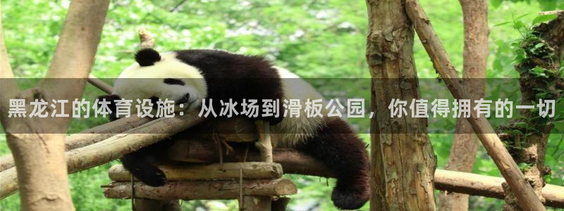 凯捷体育平台注册要钱吗是真的吗：黑龙江的体育设施：从
