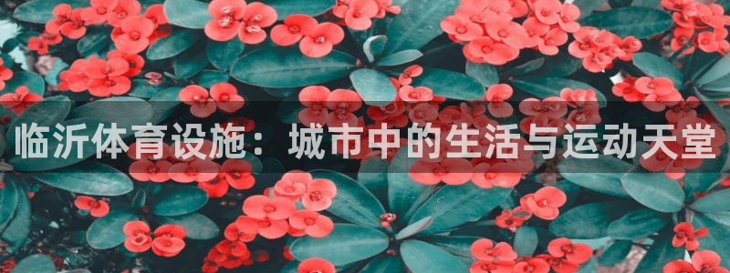 凯捷体育开户