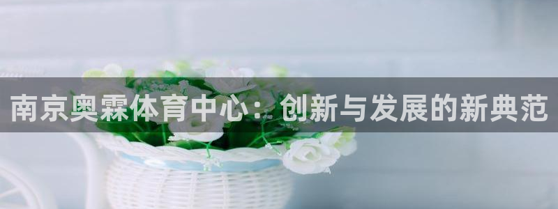 凯捷集团官网：南京奥霖体育中心：创新与发展的新典范