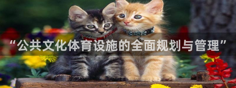 凯捷体育集团简介：“公共文化体育设施的全面规划与管理”