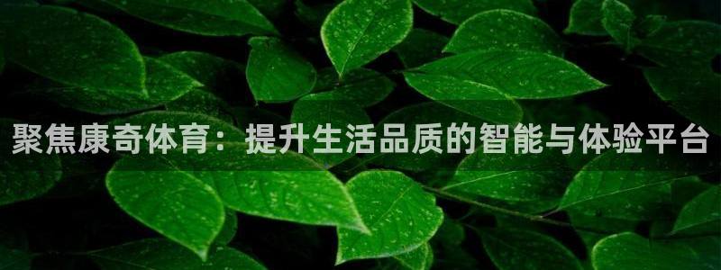 凯捷体育招商电话地址：聚焦康奇体育：提升生活品质的智能与体验