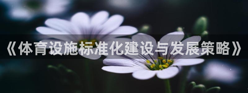 凯捷集团官网：《体育设施标准化建设与发展策略》