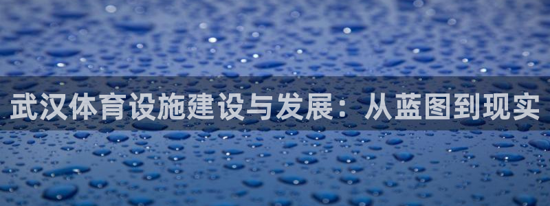 凯捷体育娱乐网站：武汉体育设施建设与发展：从蓝图到现实 