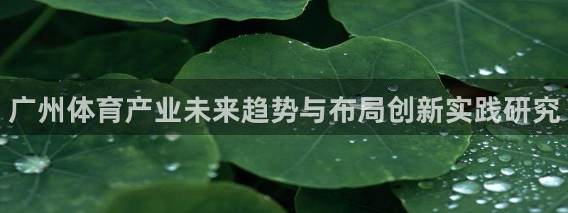 凯捷体育开户：广州体育产业未来趋势与布局创新实践研究