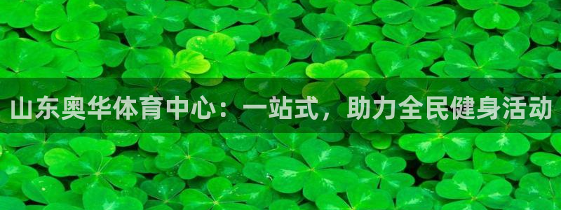海南凯捷体育：山东奥华体育中心：一站式，助力全民健身