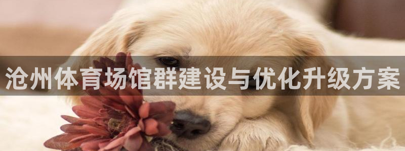 凯捷体育科技：沧州体育场馆群建设与优化升级方案