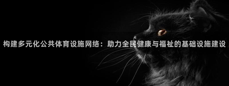 凯捷体育平台注册：构建多元化公共体育设施网络：助力全民健康与