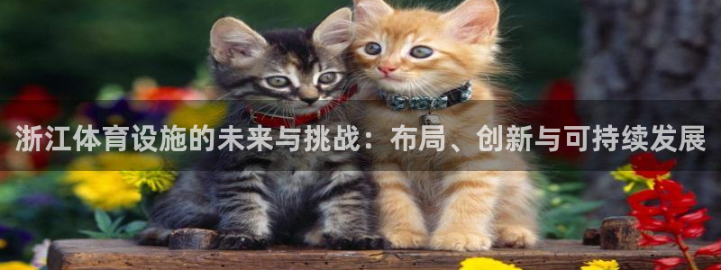 凯捷平台体育：浙江体育设施的未来与挑战：布局、创新与