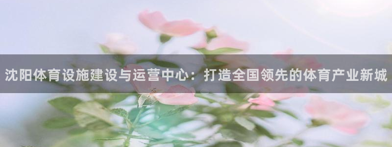 凯捷体育平台假的吗是真的吗吗：沈阳体育设施建设与运营