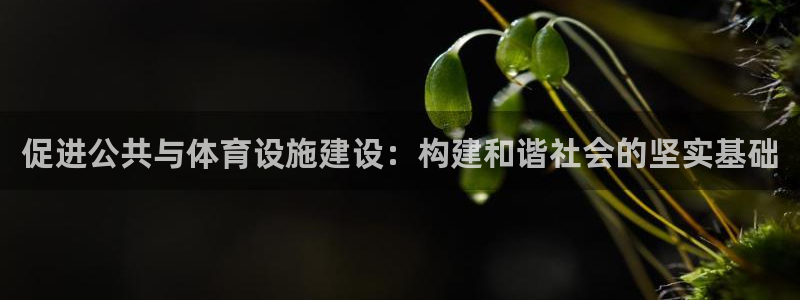 凯捷体育平台是正规平台吗：促进公共与体育设施建设：构