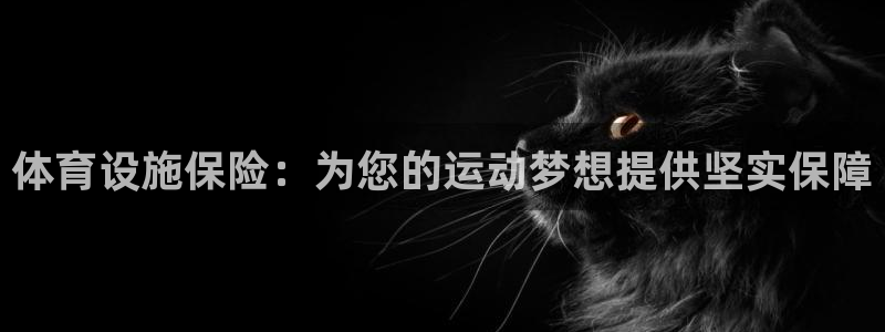 凯捷体育娱乐40996：体育设施保险：为您的运动梦想