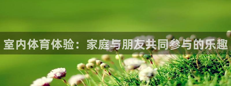 凯捷体育软件：室内体育体验：家庭与朋友共同参与的乐趣