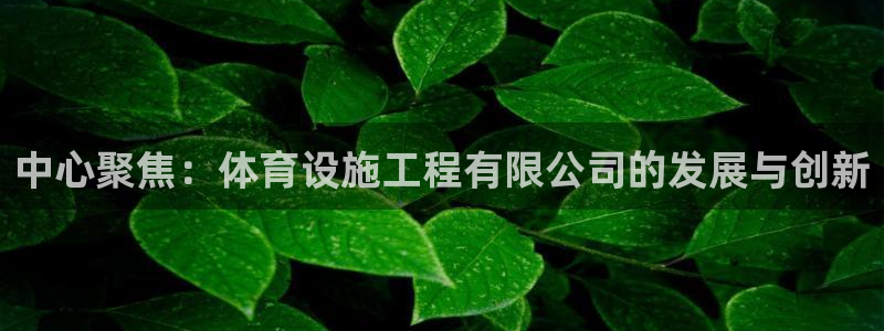凯捷体育注册：中心聚焦：体育设施工程有限公司的发展与