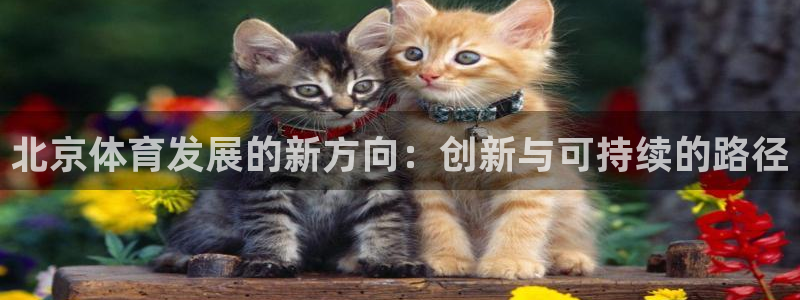 凯捷体育集团官网网址：北京体育发展的新方向：创新与可