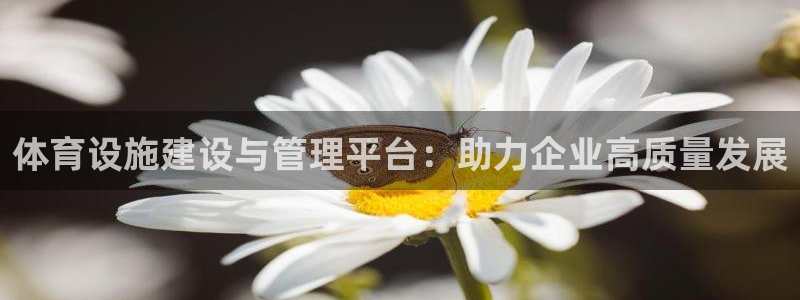 凯捷体育科技：体育设施建设与管理平台：助力企业高质量发展