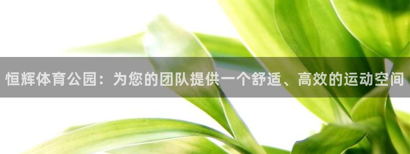 凯捷体育招商电话地址查询：恒辉体育公园：为您的团队提