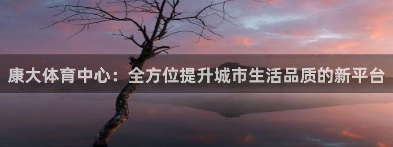 凯捷体育平台注册：康大体育中心：全方位提升城市生活品