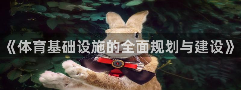 凯捷体育开户：《体育基础设施的全面规划与建设》