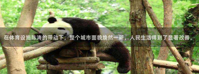 凯捷体育新能源：在体育设施陈涛的带动下，整个城市面貌
