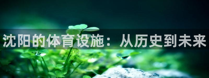 凯捷体育平台注册要钱吗安全吗：沈阳的体育设施：从历史