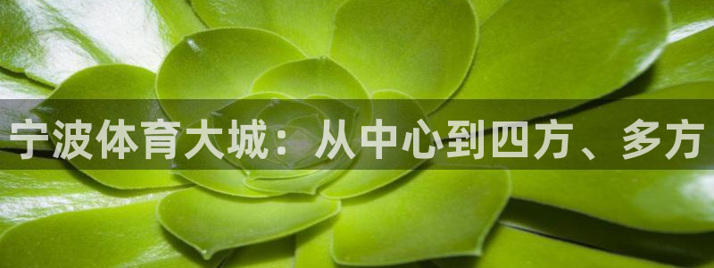 凯捷体育集团logo：宁波体育大城：从中心到四方、多